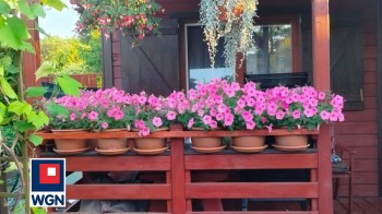 Dom letniskowy na sprzedaż Poręba